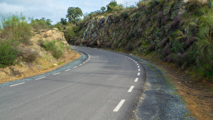 Road between mountains in the forest