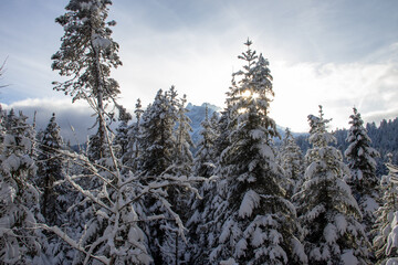 les montagnes suisse en plein hiver sous la neige 