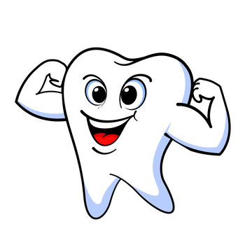 Cartoon strong tooth character  vector illustration.