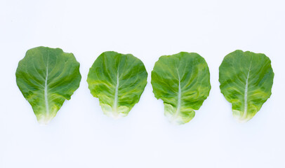 Lettuce leaves on white background.