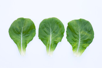 Lettuce leaves on white background.