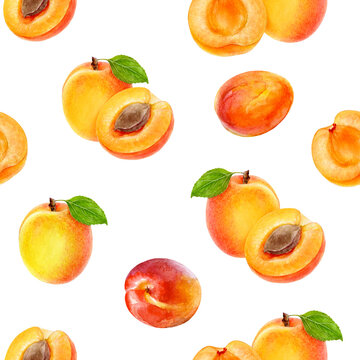 Watercolor seamless pattern apricots isolated on white.