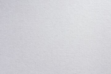 white canvas texture with space for your text or images