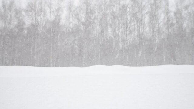 Fresh snow is falling on a blurred background of a frosty birch forest. Snowdrifts and heavy snow in winter. Two panoramic videos in 4K