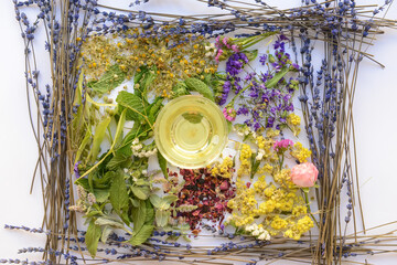 Cup with floral tea and dry flowers on light background