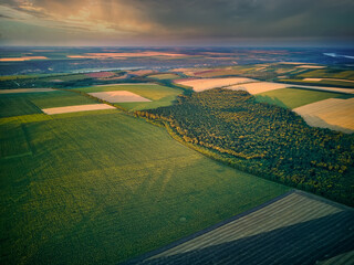 Aerial view over the agricultural fields at sunset