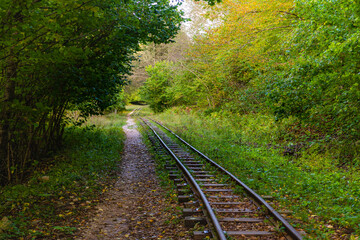 Abandoned railway in autumn mountain forest with foliar trees in Caucasus, Mezmay