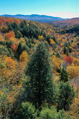 Fototapeta premium Peak Foliage - Stowe, Vermont