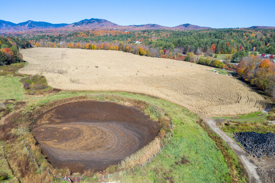 Corn Maze - Vermont