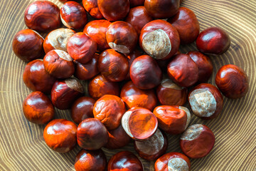 Glossy nut-brown conkers (nut-like seeds) without spiky capsules. Mature fruits from a horse chestnut tree (Spanish chestnut, buckeye) on wooden background top view