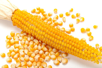 乾燥トウモロコシとポップコーンの種