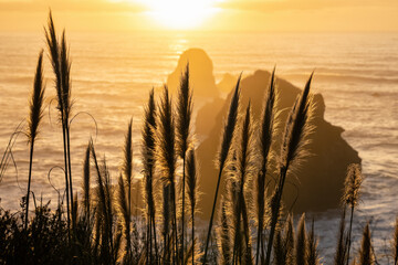 Sunset at a Rocky Beach, Northern California Coast