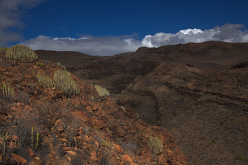 Gran Canaria, landscapes along the hiking route around the ravive Barranco del Toro at the southern...