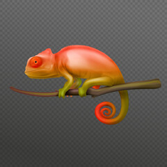 Chameleon Realistic Transparent