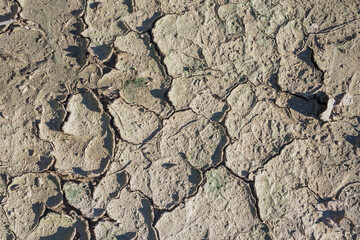 Fototapeta premium Cracked dried ground texture. Infertile soil top view as background
