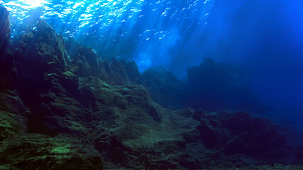 Fototapeta na wymiar Beautiful underwater landscape and scenery in the Atlantic ocean.