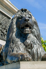 Trafalgar Square lion statue at the base of  Nelson’s Column in London England UK erected to...
