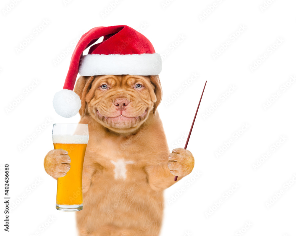 Poster smiling puppy wearing santa hat holds light beer and points away on empty space. isolated on white b