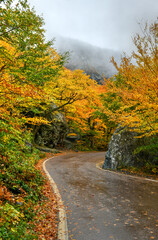 Obraz premium Fall Foliage - Vermont