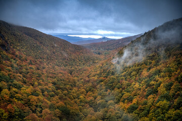 Fall Foliage - Vermont