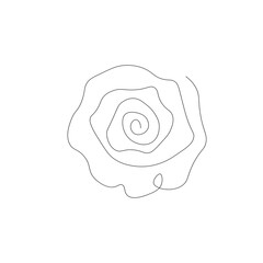 Rose flower line drawing vector illustration