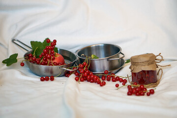 Hedgehog with mushrooms and apples. Toys and animals. High quality 4k footage