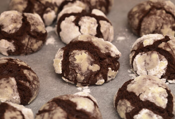Winter festive baking - chocolate cookies with icing sugar on a oven tray covered with parchment
