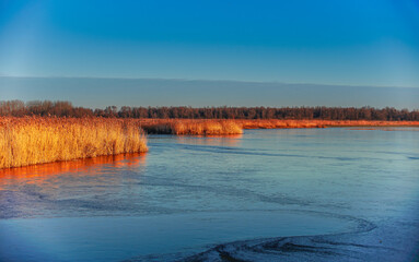 sunset over a frozen lake with reed