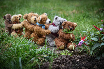 Six miniature teddy bears weeding in the garden