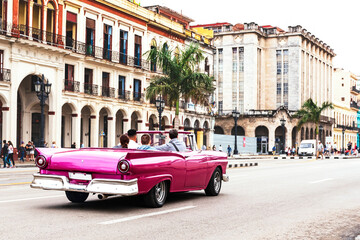 rear view of a family driving in a old convertible car on the streets of havana