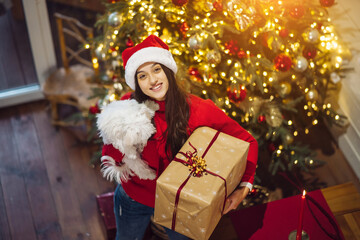 The girl with a gift and a small dog at Christmas tree