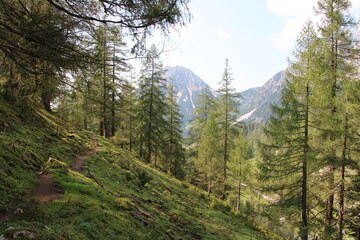 Wanderung im Dachsteingebirge, Österreich