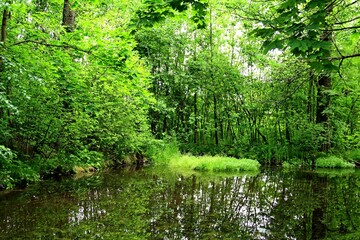 Fototapeta na wymiar Zabytki, Natura, Religia, Kapliczki, Kościółki