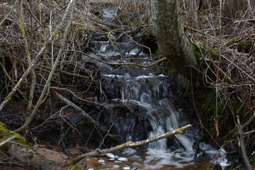 Spring month march. Through a wild bush cascades thawed snow flows down.