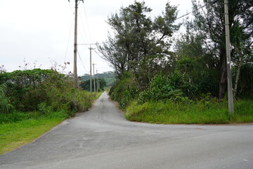 西表島の細い道路