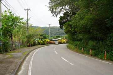 西表島の山へと続く車道