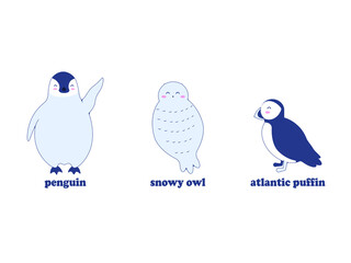 Happy penguin, snowy owl and atlantic puffin bird. Vector image in eps format.