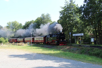 Obraz premium Hiking on the Selketalstieg (Harz, Germany), Wandern auf dem Selketalstieg im Harz, steam train in Stolberg