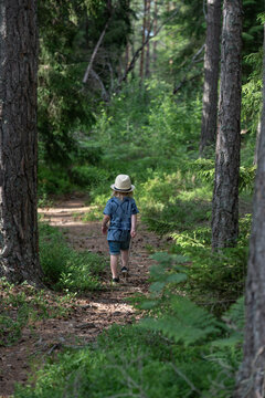 Boy walking on a forest path