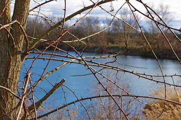 Balade hivernale au parc de Miribel Jonage