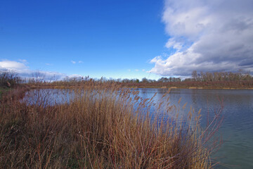 Balade hivernale au parc de Miribel Jonage