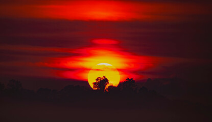 Fototapeta na wymiar red sky sunrise over the trees