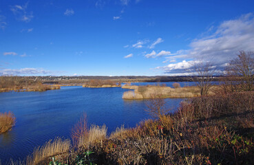 Balade hivernale au parc de Miribel Jonage