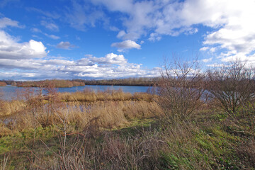 Balade hivernale au parc de Miribel Jonage