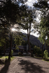 Path in the woods against sunlight in Los Alerces National Park, Patagonia, Argentina