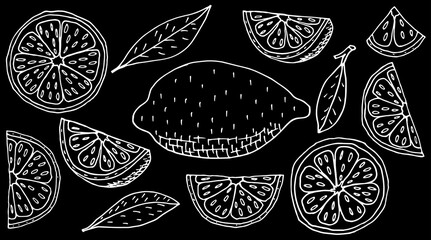 Fruit lemon hand drawing. Set of whole and slice, and quarter of lemon. White contour of fruit on black background. Vector illustration.