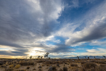 blue Skies and white clouds