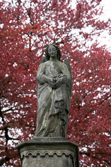 Obraz premium Betender Engel vor einem Baum mit Herbstlaub