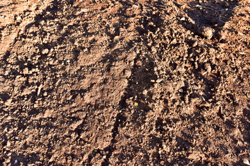 The texture of the ground layer of the earth. Sand background