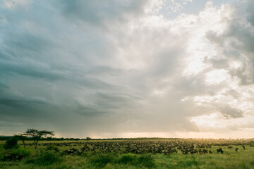 Gewitter wärend dem Sonneuntergang